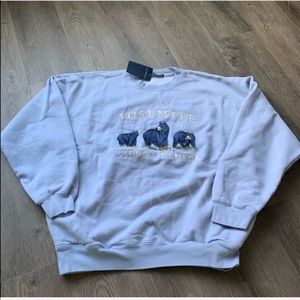 BRANDY MELVILLE RARE YOSEMITE CREWNECK